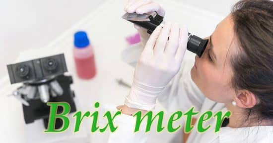 Brix meter สำหรับการวัดความหวาน