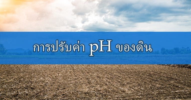 การปรับค่า pH ของดิน