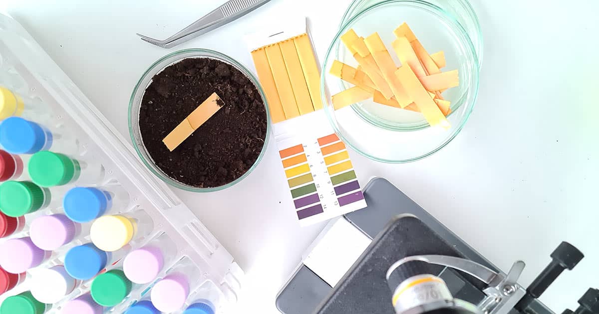 advantage litmus paper